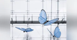 Tres eMotionButterflies de Festo con las alas azules desplegadas en una instalación de vuelo.
