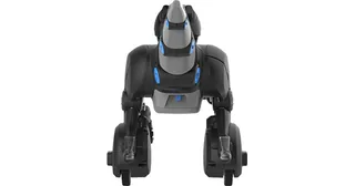 Miposaur de WowWee, dinosaurio robótico gris y azul apoyado sobre dos ruedas.
