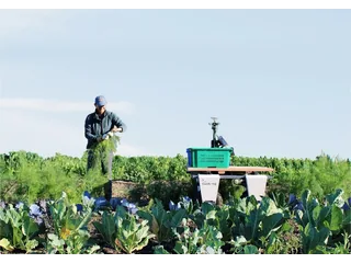 Plataforma Amiga verde en un cultivo, junto a una persona que trabaja en el campo.
