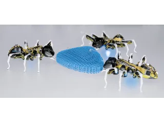 Tres BionicANTs completos alrededor de un objeto azul en una demostración de cooperación publicada por Festo.