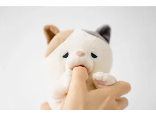 AMAGAMI HAM HAM de Yukai Engineering