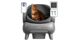Neakasa M1 Plus abierto con un gato dentro y detalles de la aplicación.