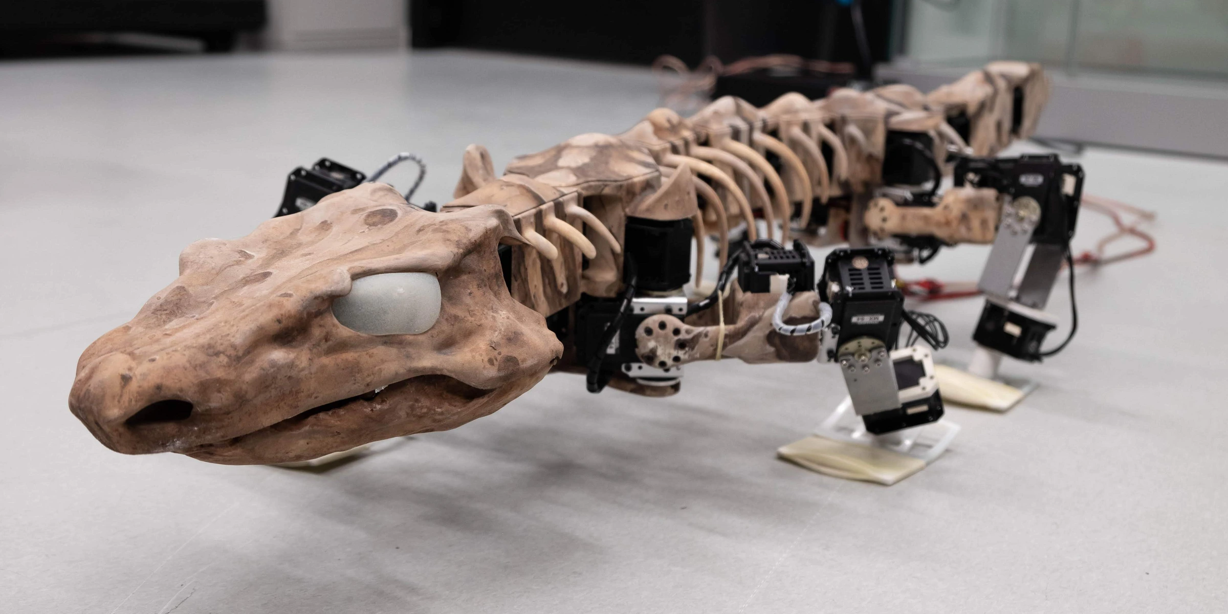 Fotografía de OroBOT publicada por EPFL BioRob.