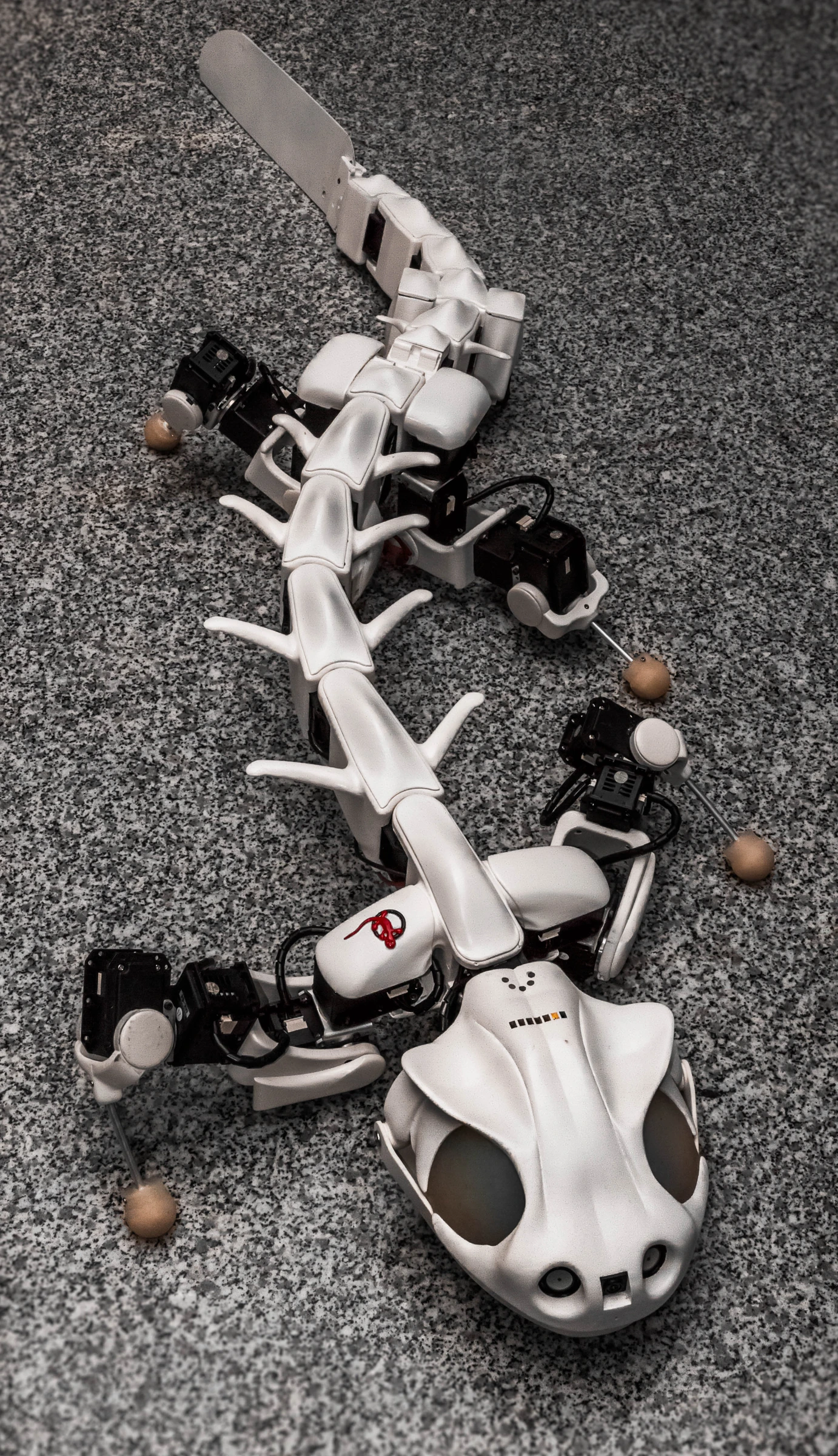 Fotografía de Pleurobot publicada por EPFL BioRob.
