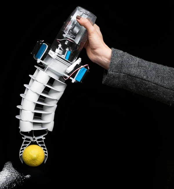 Bionic Handling Assistant completo, sostenido con una mano y sujetando una pelota junto a la trompa de un elefante.