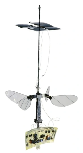 Fotografía de RoboBee X-Wing publicada por Harvard Microrobotics Lab.