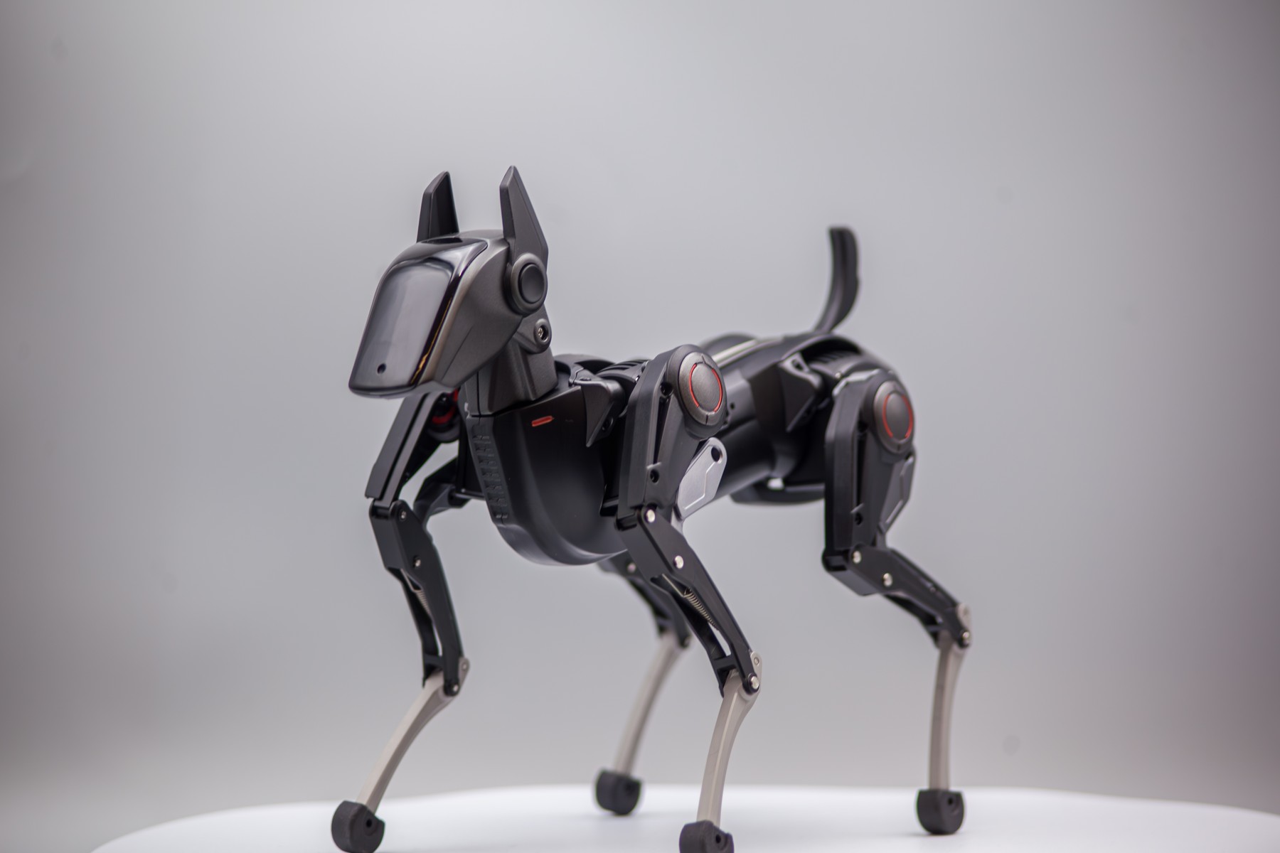 Fotografía oficial de HENGBOT Sirius de cuerpo completo, de pie sobre una mesa.