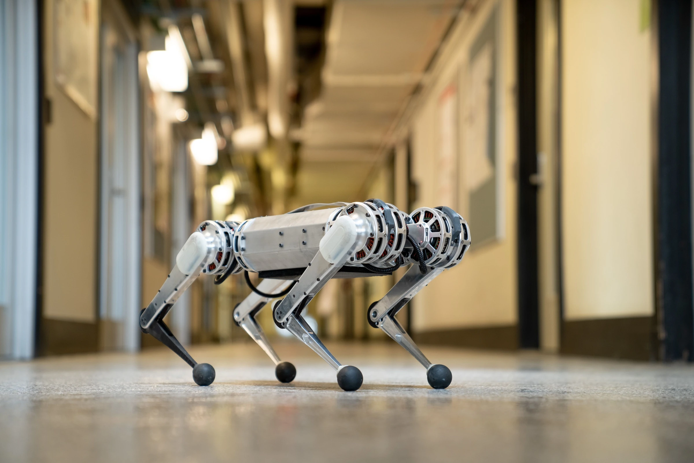 Fotografía de MIT Mini Cheetah publicada por MIT Biomimetic Robotics Lab.