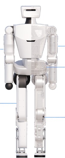 Representación técnica de Roboto Origin de cuerpo completo publicada por RoboParty