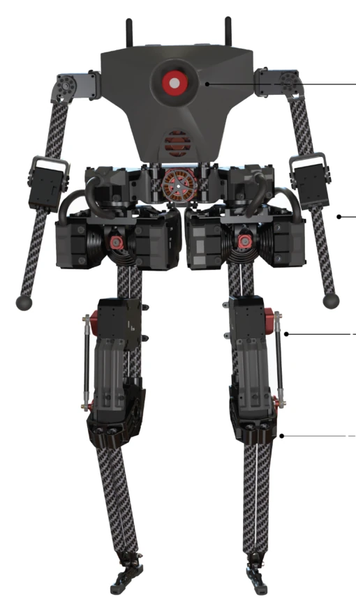 Render oficial de BRUCE, de cuerpo entero.