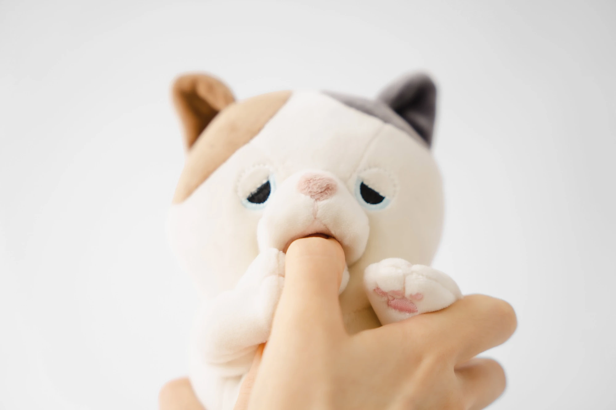 AMAGAMI HAM HAM de Yukai Engineering