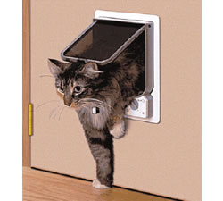 electromagnetic-pet-door111.jpg